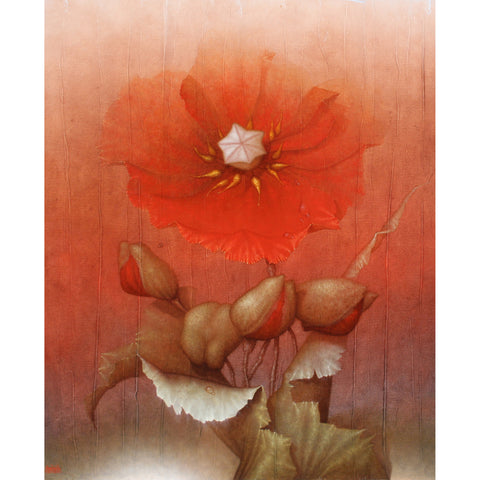 L'oscule du coquelicot rococo